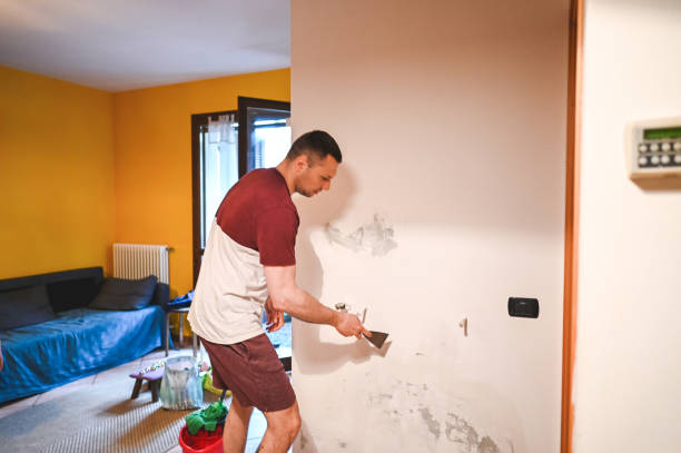 Best Mold Cleaning Services  in Millport, AL